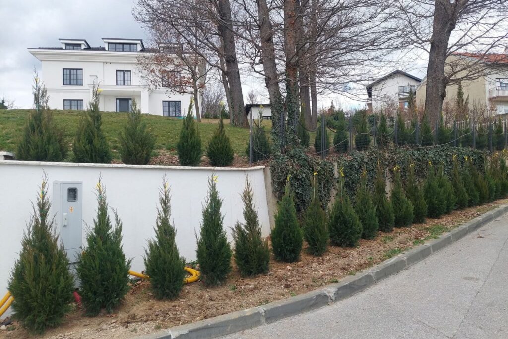 sadnja živih ograda zagreb vrtstylestudio