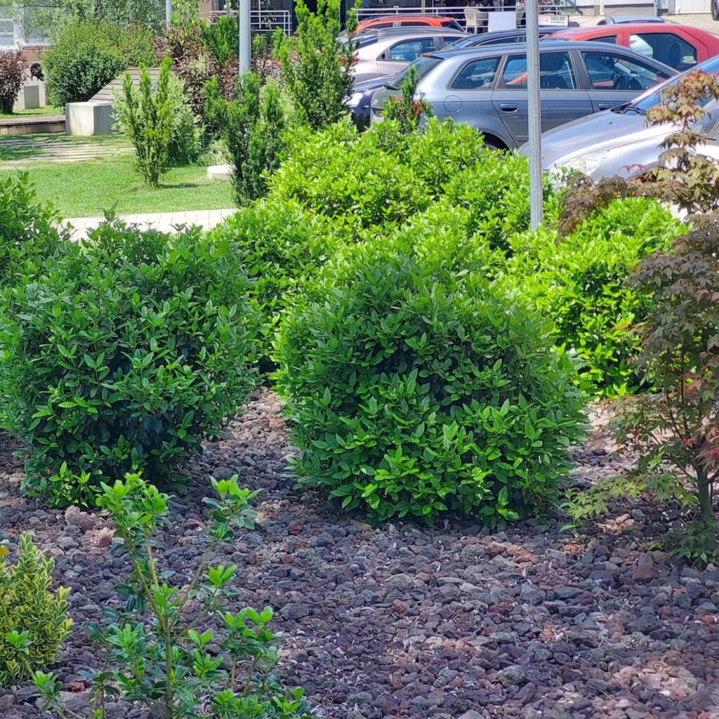 uređenje javnih zelenih površina vrtstylestudio