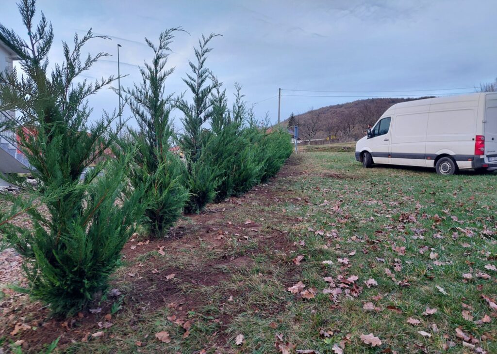Najbolja živa ograda za Zagreb